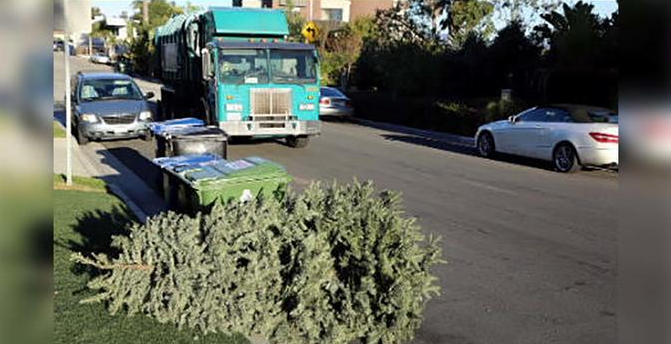 Christmas Tree landfill Environmentally Sustainable Artificial Christmas Tree