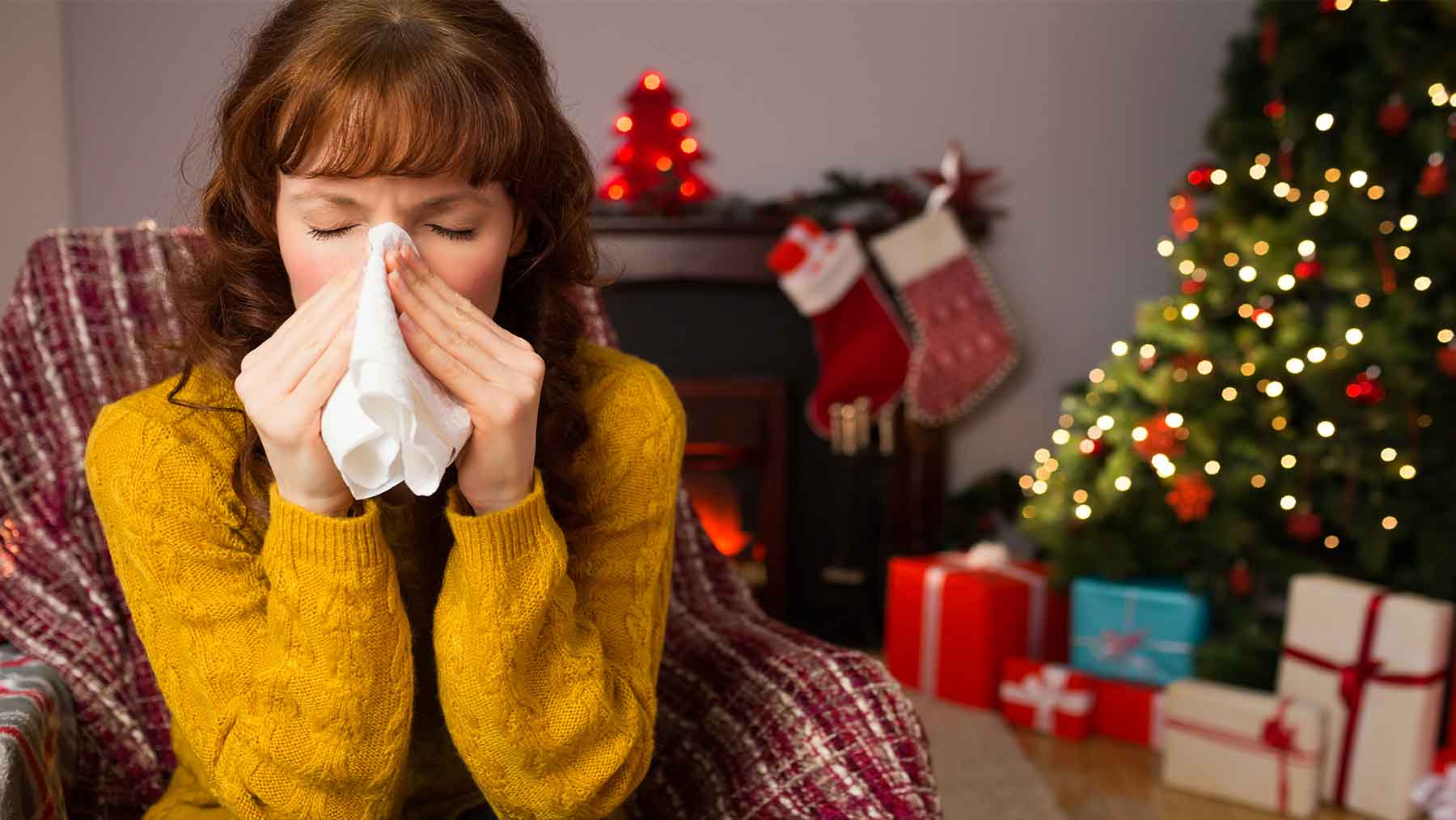 allergy christmas trees