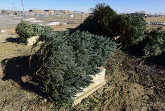 landfill christmas tree Environmentally Sustainable Artificial Christmas Tree