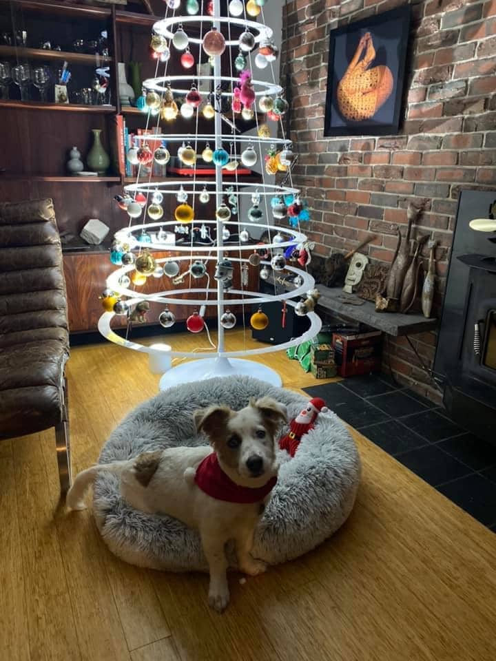 Customer Photos Modern Christmas Trees